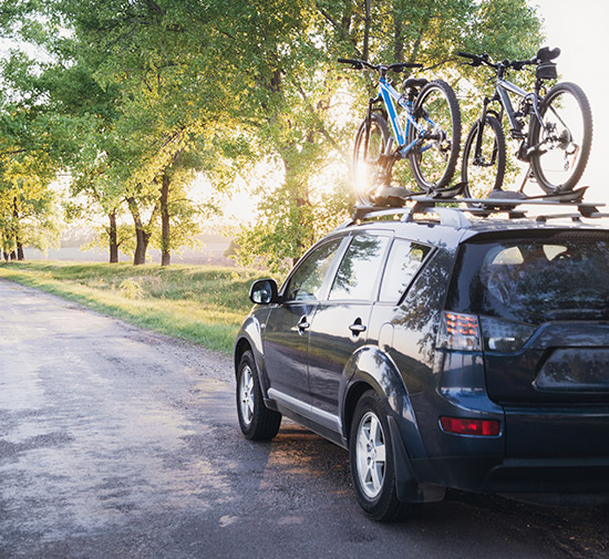 Seguro de Vida - Rodonaves